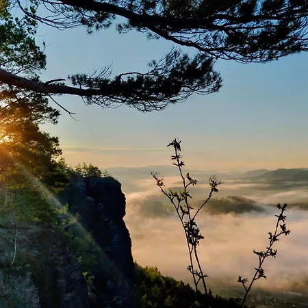 Abendsonne In - Saechsische Schweiz